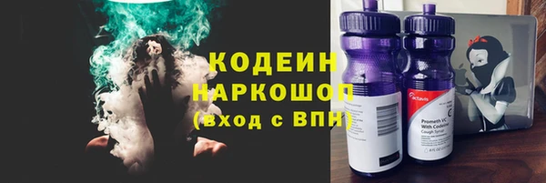 apvp Ельня