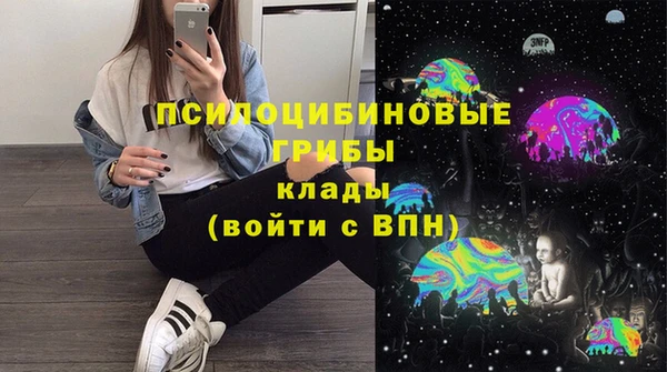 apvp Ельня