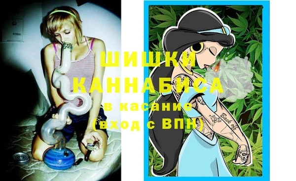 apvp Ельня