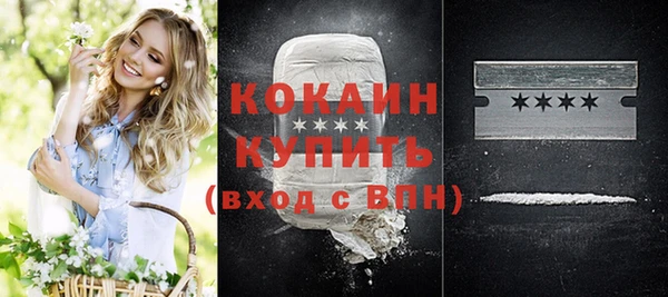 apvp Ельня