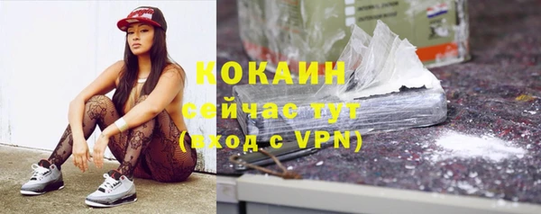 apvp Ельня